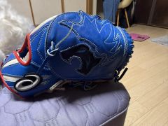 日本ハムファイターズ玉井大翔実使用グローブ - メルカリ