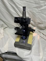 通電確認済みOLYMPUS(オリンパス)◇ 双眼・生物顕微鏡 BHB 現状品 
