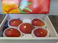 【贈答用】極上完熟アップルマンゴー 2kg（化粧箱入り）★クール便送料無料・傷み安心保証付のサムネイル