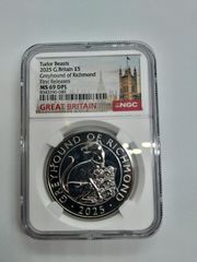 NGC MS69DPL 2023 イギリス ブル・オブ・クラレンス ラベルエラー NGC MS69DPL 2025 グレイハウンド・オブ・リッチモンド 5PD - メルカリ