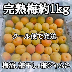 【岩手県産】完熟梅約１ｋｇ　クール便発送のサムネイル
