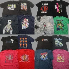古着卸 まとめ売り キャラクター Tシャツ 16枚セット ( メンズ 2XL ) マインクラフト グリンチ ドラゴンボール 中古 古着 NF7365 古着卸 まとめ売り キャラクター Tシャツ 16枚セット ( メンズ 2XL