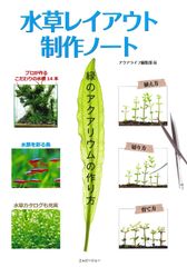 ウマノスズクサ 茎付き葉っぱ 1000枚 ジャコウアゲハ 幼虫 餌 期間限定