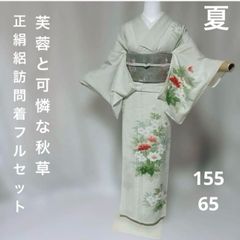 夏着物 絽 正絹 訪問着 フルセット 夏帯 長尺夏帯締め 夏帯揚げ 未着用