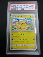 PSA10 ピカチュウ サン&ムーンファミリーポケモンカードゲーム018/051