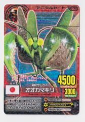 アニマルカイザー 金レア 単品売り ワンオーナー品 - メルカリ
