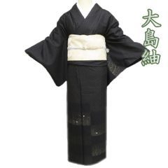 ゆめsaku 美品 夏着物 正絹 紗紬 証紙付 手縫い仕立て 夏大島紬 P177