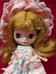 2026年最新】プチブライス本体のみの人気アイテム - メルカリ