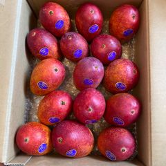 訳あり】宮崎完熟マンゴー 15玉 約5.1kg - メルカリ