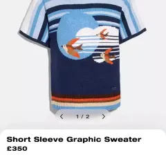 コーチ 70万円台 グラフィックスウェット 半袖ニット COACH ストライプ Tシャツ ハーフスリーブ 半袖Tのサムネイル