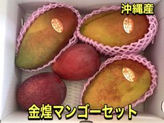 沖縄　宮古島産　完熟マンゴー8kg 家庭用（訳あり）okeiにっこり 沖縄 宮古島産 完熟マンゴー8kg 家庭用（訳あり）okeiにっこり様専用