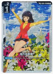 溢れる慈愛 SP パラレル GD03 - メルカリ