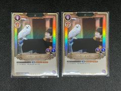 ハリーポッターカードゲーム プレミアム決闘 上位賞 - メルカリ