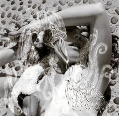 初回版帯付CD Bjork Vespertine ビョーク ヴェスパタイン - メルカリ