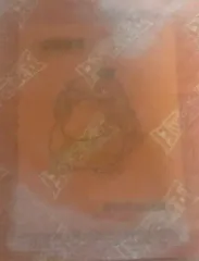 ポケットモンスター ティブティブシール ゴーラパダックのサムネイル