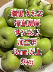 宮崎県産 摘花 グリーン マンゴー 6キロ - メルカリ