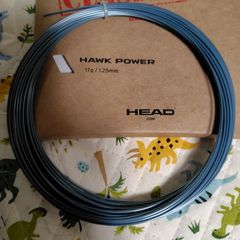 HEADHawkPower　ブルー125