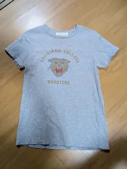 【別注モデル】REMI RELIEF × The Golden State レミレリーフ LOUISIANA COLLEGE タイガー プリント ヴィンテージ加工 Tシャツ グレー Mのサムネイル