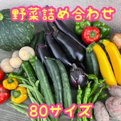 夏野菜  野菜セット  野菜詰め合わせ  80サイズのサムネイル