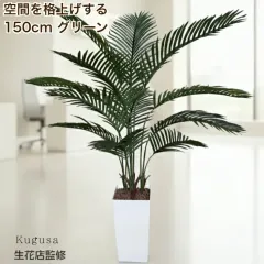 2026年最新】ヤシの木 観葉植物の人気アイテム - メルカリ