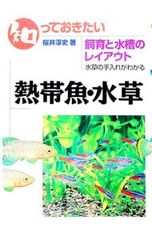 DVD／恋がしたい 恋がしたい 恋がしたい DVD-BOX - メルカリ