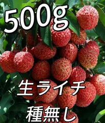 2026年最新】生 ライチの人気アイテム - メルカリ