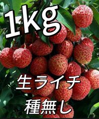 12.島津佐多ライチ 1kg 農薬化学肥料不使用 最終収穫SALE - メルカリ