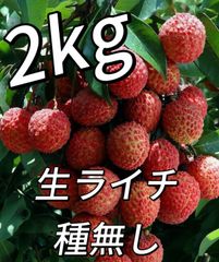 種なし生ライチ 約1kg 中国産 希少品種 クール便 - メルカリ