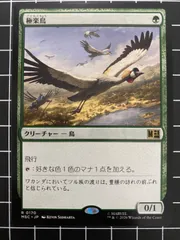 2026年最新】極楽鳥 MTGの人気アイテム - メルカリ