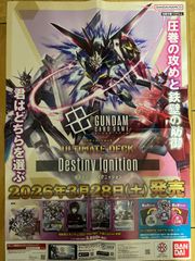 非売品！ガンダムウォー・ネグザ NEX-A 機動戦士クロスボーン