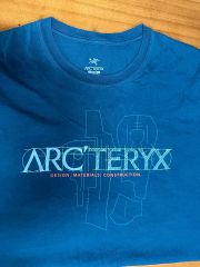 ARC'TERYX アークテリクス リザード トカゲ Tシャツ アウトドア 定番