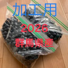 群馬県産ブルーベリー　加工用1.2kg以上のサムネイル