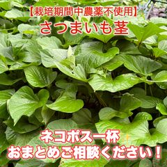 カズ兄様‼️専用ページ花わさび1キロ - メルカリ