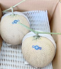 大玉サイズ☆高知県産 温室マスクメロン 5玉入り 約9.9㎏（下箱込み