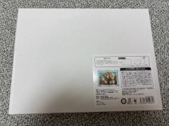 Z/X アクリルブロック「ウェアジャガー」未開封 - メルカリ