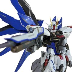 METAL BUILD メタルビルド ZGMF-X10A フリーダムガンダム ガンダム