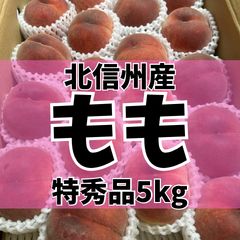 宮古島産マンゴー 5kg - メルカリ