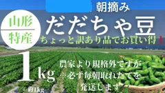 山形県産　朝摘みたて『訳ありだだちゃ豆』約1kg　白山　甘露のサムネイル