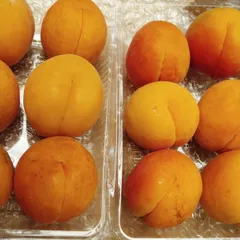 青森県産あんず梅八助大玉12個1kgクール便発送コンパクトBのサムネイル