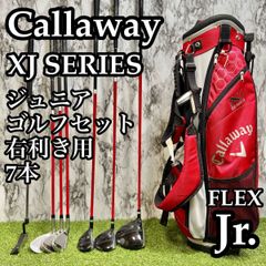 A在】レフティー ピン G 黒ドット メンズアイアンセット 6本 スチール