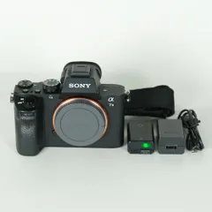 2026年最新】sony α7 ii ILCE-7M2の人気アイテム - メルカリ