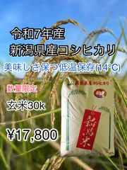 令和7年産　新潟県産コシヒカリ一等米(玄米)30k 低温14°保存米のサムネイル