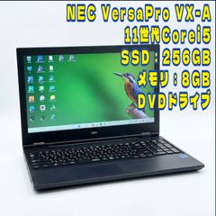 DELL 17.3