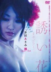 中古】その他DVD 直伝 和の極意 古地図で巡る龍馬の旅 大全集 DVD-BOX