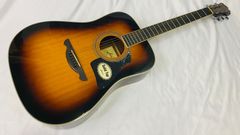 HONEY BEE F-17LH ハニービー アコースティックギター レフトハンド