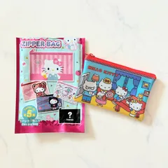 サンリオ ハローキティ キティちゃん ZIPPER BAG ジッパーバッグ フラットポーチ 平成レトロ SNS 仕分け シークレット レア 希少品 整理整頓 バッグインバッグのサムネイル