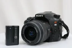 2026年最新】sony α65の人気アイテム - メルカリ