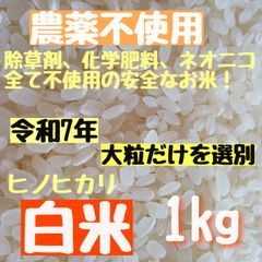 農薬不使用・大粒ヒノヒカリ玄米 20kg - メルカリ