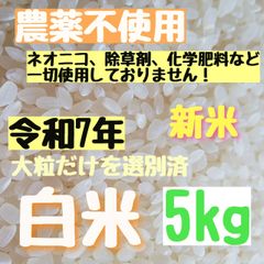 農薬不使用 ヒノヒカリ大粒白米10kg - メルカリ