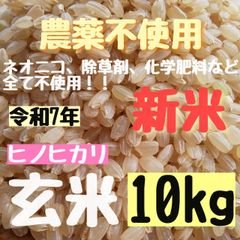 農薬不使用 令和7年度産 ヒノヒカリ10㎏ 山口県産 - メルカリ